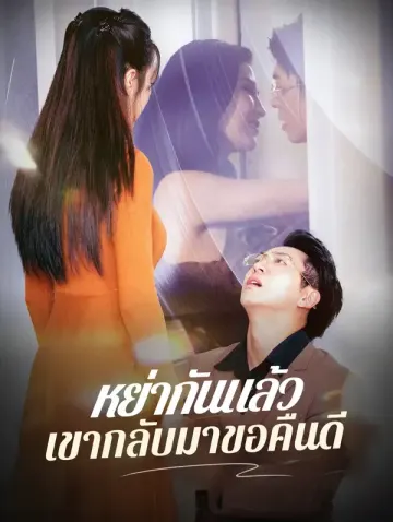 หย่ากันแล้ว เขากลับมาขอคืนดี