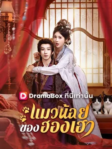 แมวน้อยของฮองเฮา