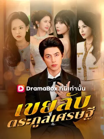 เขยลับตระกูลเศรษฐี