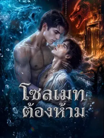 โซลเมทต้องห้าม
