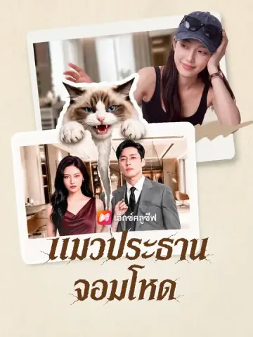 แมวประธานจอมโหด