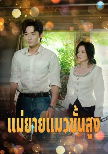 คุณยายแมว