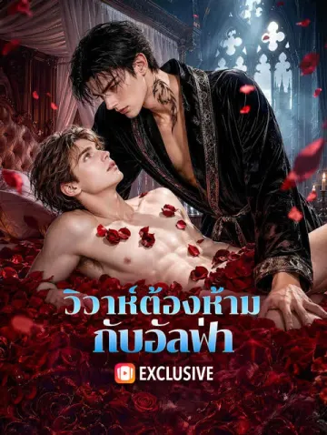 วิวาห์ต้องห้าม กับอัลฟ่า