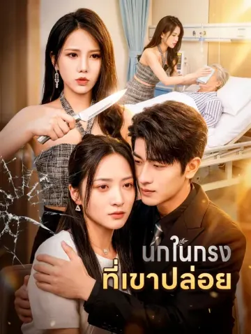 นกในกรง ที่เขาปล่อย