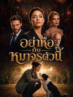 อย่าหือกับหมาจรตัวนี้