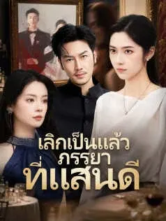 เลิกเป็นแล้วภรรยาที่แสนดี