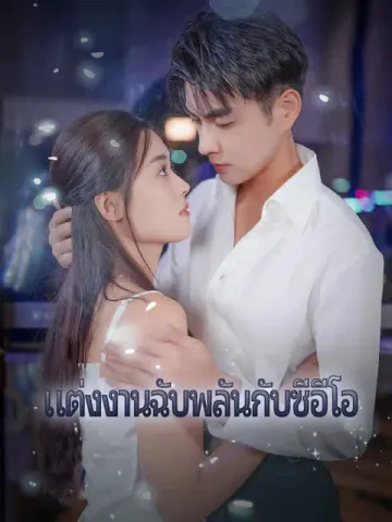แต่งงานฉับพลันกับซีอีโอ