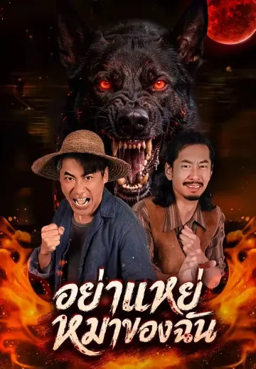 อย่าแหย่หมาของฉัน