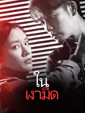 ในเงามืด