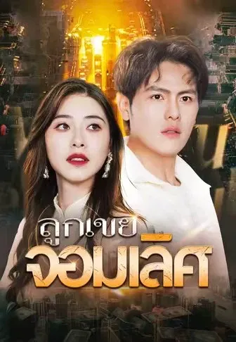 ลูกเขยจอมเลิศ
