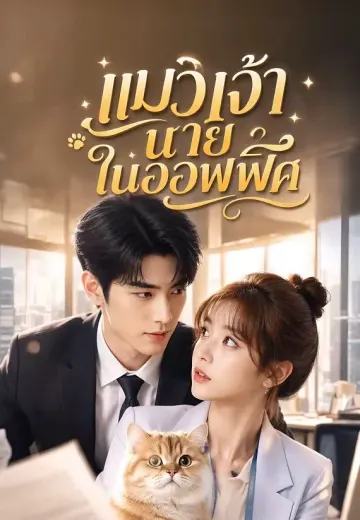 แมวเจ้านายในออฟฟิศ