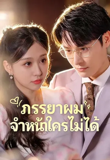 ภรรยาผมจำหน้าใครไม่ได้