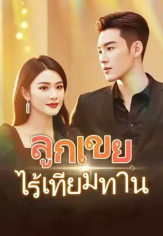 ลูกเขยไร้เทียมทาน