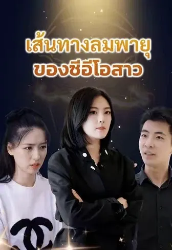 เส้นทางลมพายุของซีอีโอสาว