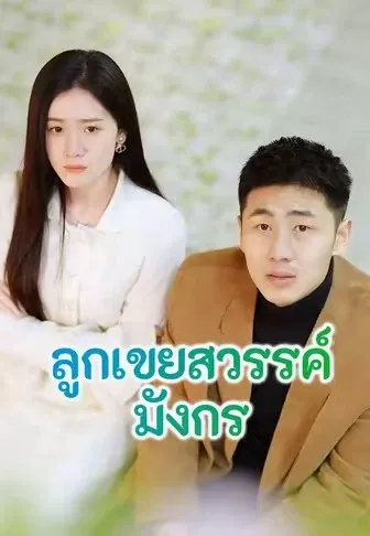 ลูกเขยสวรรค์มังกร