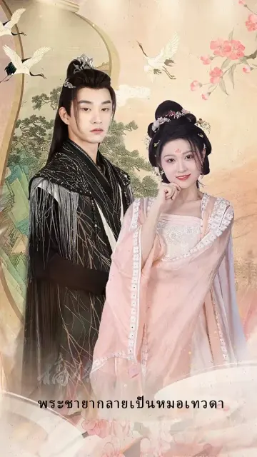 พระชายากลายเป็นหมอเทวดา