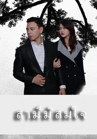 สามีมิสมใจ