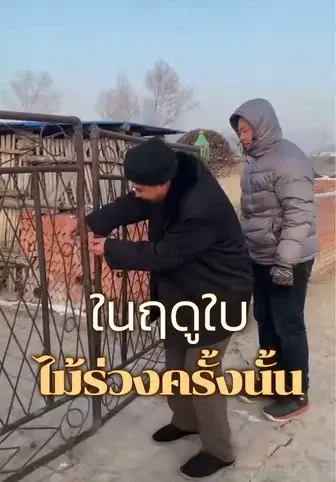 ในฤดูใบไม้ร่วงครั้งนั้น