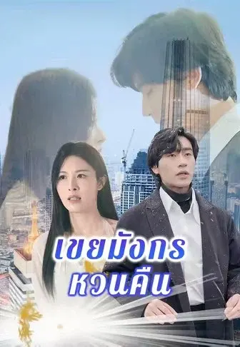 เขยมังกรหวนคืน