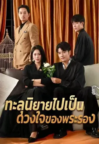 ทะลุนิยายไปเป็นดวงใจของพระรอง