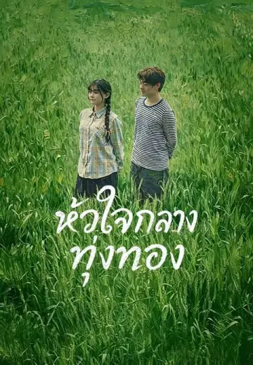 หัวใจกลางทุ่งทอง