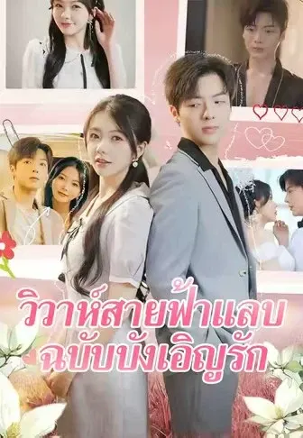วิวาห์สายฟ้าแลบ ฉบับบังเอิญรัก
