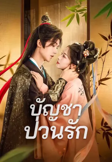 บัญชาป่วนรัก