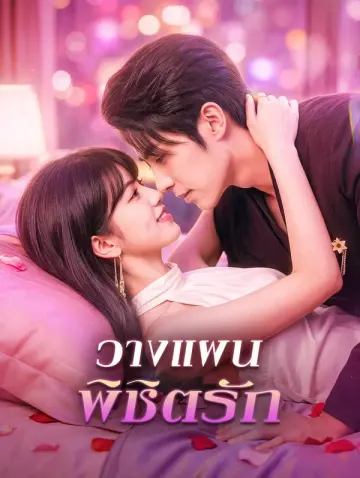 วางแผน พิชิตรัก