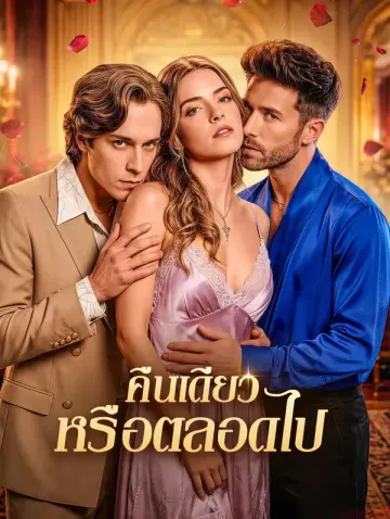 คืนเดียว หรือตลอดไป