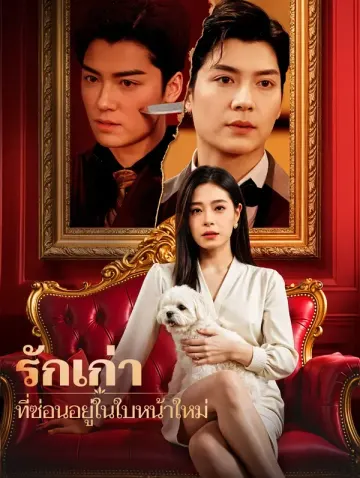 รักเก่าที่ซ่อนอยู่ในใบหน้าใหม่(พากย์เสียง)