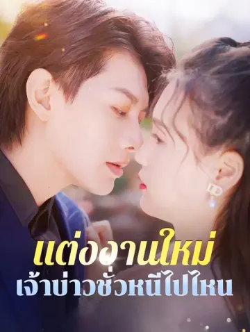 แต่งงานใหม่ เจ้าบ่าวชั่วหนีไปไหน(พากย์เสียง)