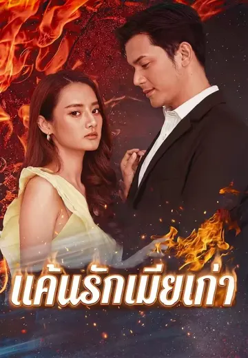 แค้นรักเมียเก่า