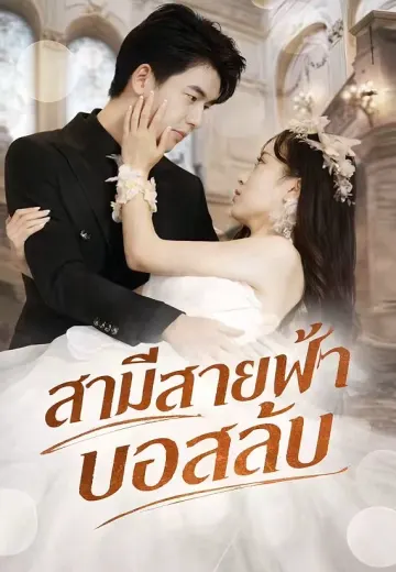 สามีสายฟ้าบอสลับ