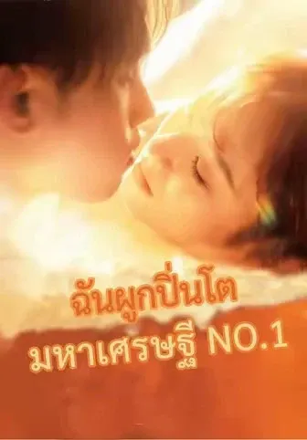 ฉันผูกปิ่นโตมหาเศรษฐี NO.1