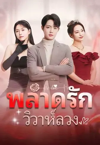 พลาดรักวิวาห์ลวง
