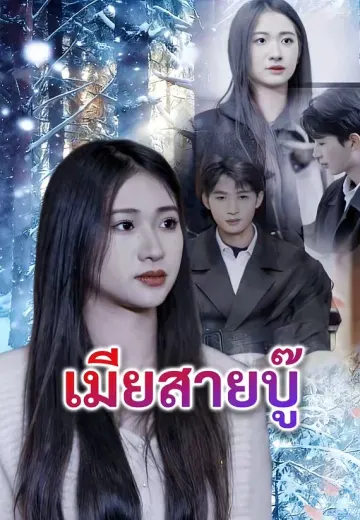 เมียสายบู๊