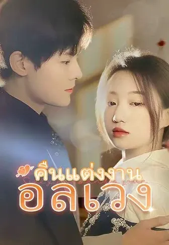 คืนแต่งงานอลเวง