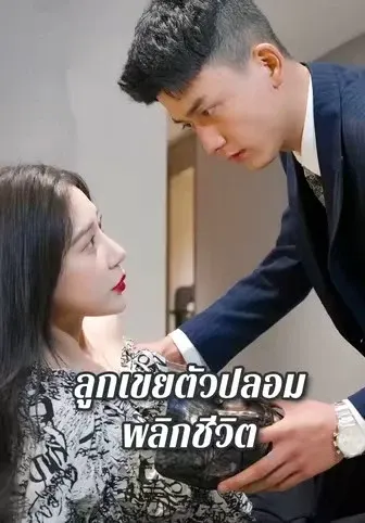 ลูกเขยตัวปลอมพลิกชีวิต