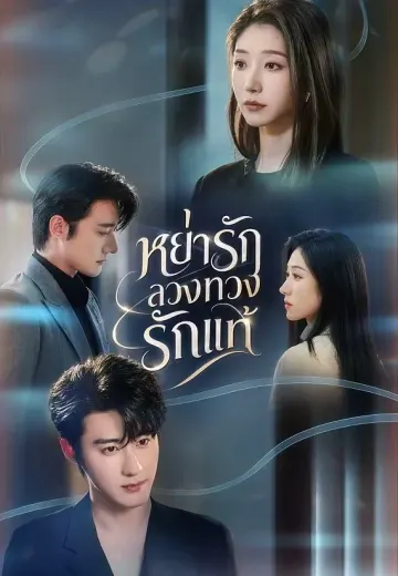หย่ารักลวงทวงรักแท้