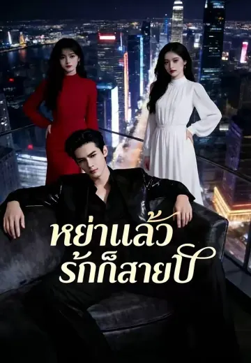 หย่าแล้วรักก็สายไป