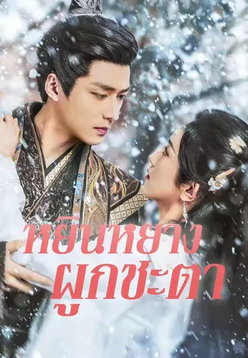 หยินหยางผูกชะตา