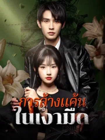 การล้างแค้นในเงามืด