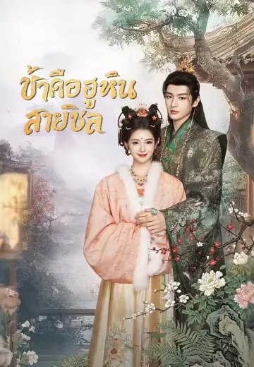 ข้าคือฮูหยินสายชิล