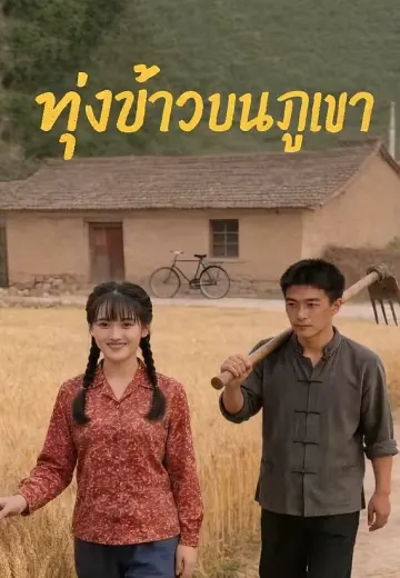 ทุ่งข้าวบนภูเขา