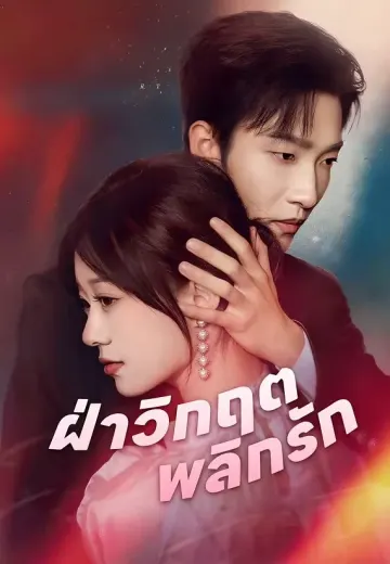 ฝ่าวิกฤตพลิกรัก