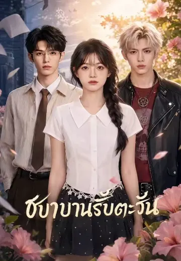 ชบาบานรับตะวัน