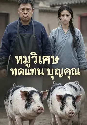 หมูวิเศษทดแทนบุญคุณ