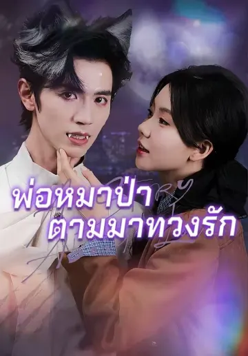 พ่อหมาป่าตามมาทวงรัก