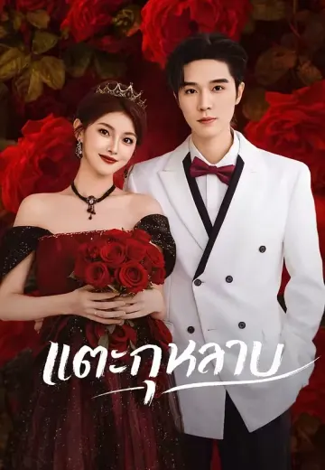 แตะกุหลาบ