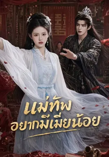 แม่ทัพอยากมีเมียน้อย